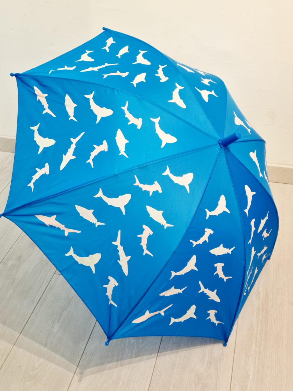 parapluie magique garçons